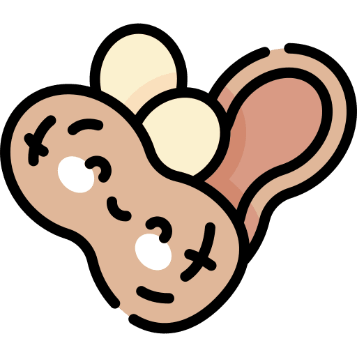 Peanut vegetarian dried fruits food icon