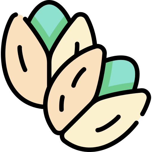 Pistachio seeds food vegan icon
