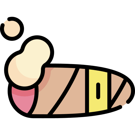 Cigar cigarette unhealthy cigar icon
