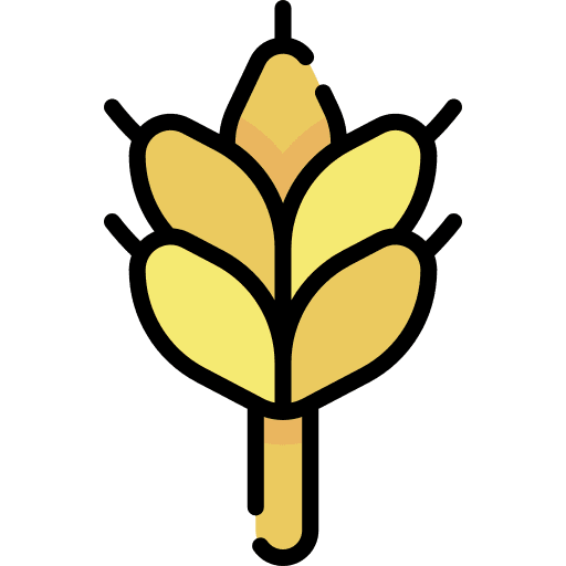 Wheat plant nature hop icon