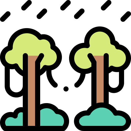 Rainforest landscape jungle rain icon