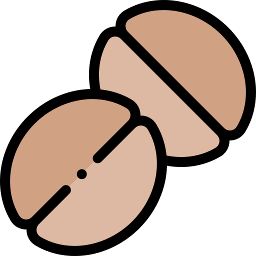 Coffee bean seeds food food and restaurant icon