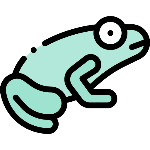 Frog amphibian zoo animals icon