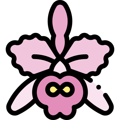 Orchid plant botanic orchid icon