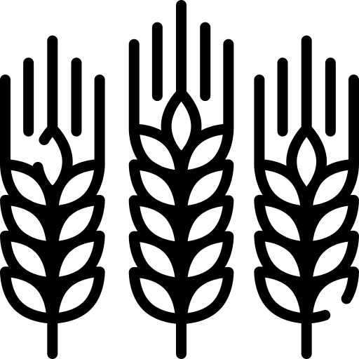 Wheat wheat rice grain icon