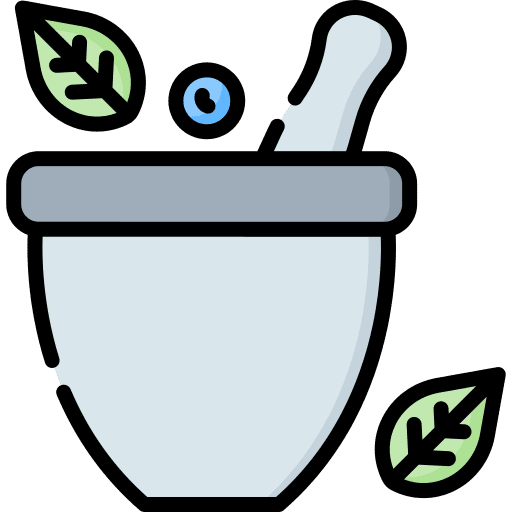 Phytotherapy phytotherapy pestle leaf icon