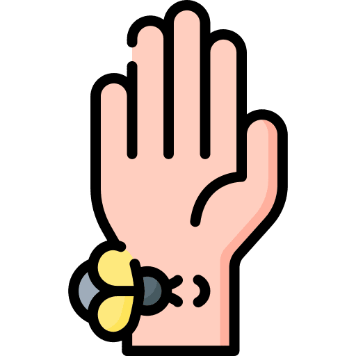 Apitherapy organic bee wellness icon