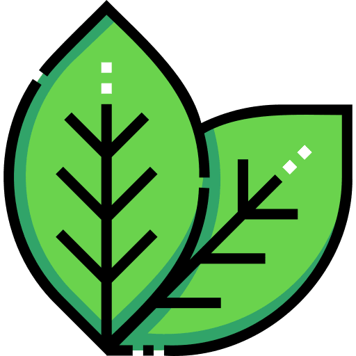 Coca leaves cocaine south america nature icon