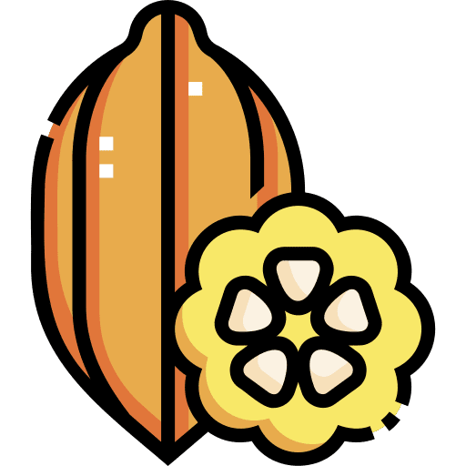 Cocoa vegan vegetarian cocoa icon