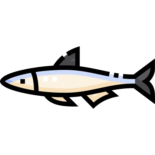 Anchovy wildlife sea life animals icon