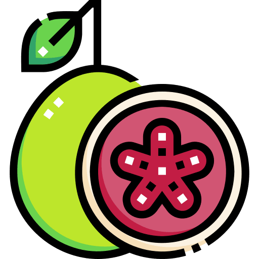 Guava fruit vegan diet icon