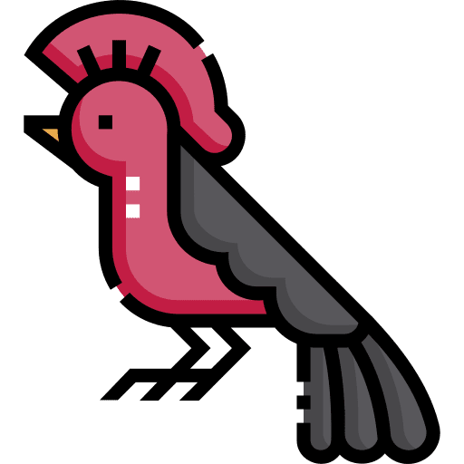 Rupicola wildlife animal kingdom animals icon