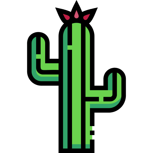 Cactus dry cactus nature icon