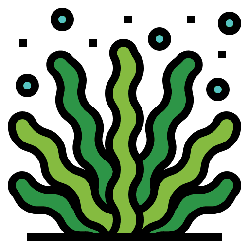 Seaweed algae nature sea life icon