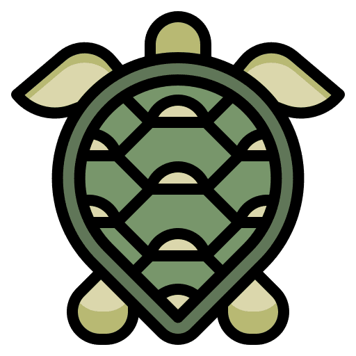 Turtle turtle animal kingdom animal icon
