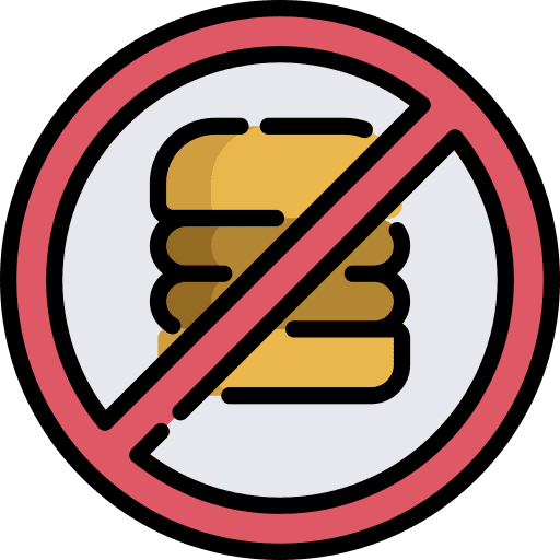 Burger healthy forbidden food icon