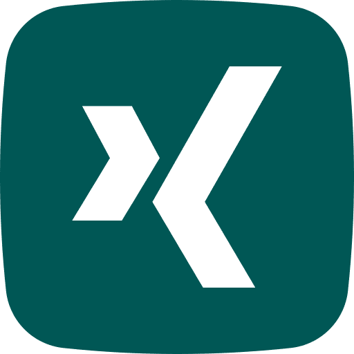Xing xing brands and logotypes logo icon