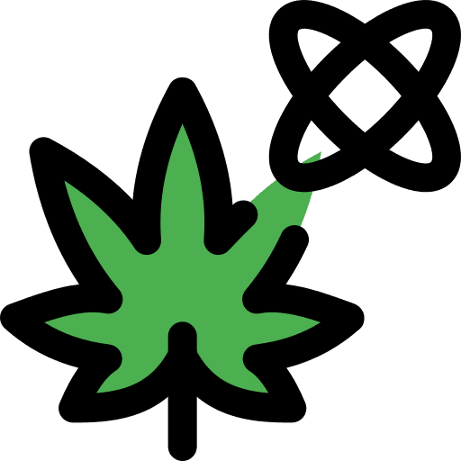 Research molecule herbs leaf icon