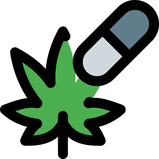 Capsule nature healthcare and medical herbs icon