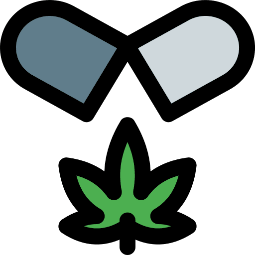 Capsule herbs drug nature icon