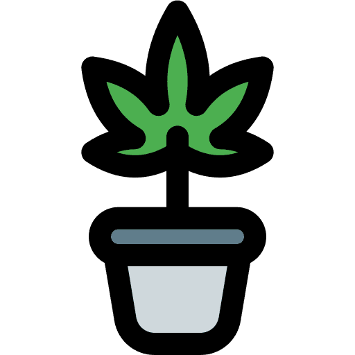 Plant marijuana cannabis drug icon