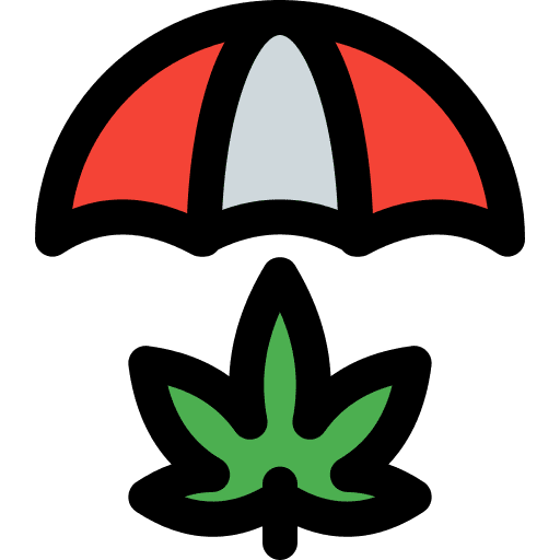 Umbrella cannabis weed leaf icon