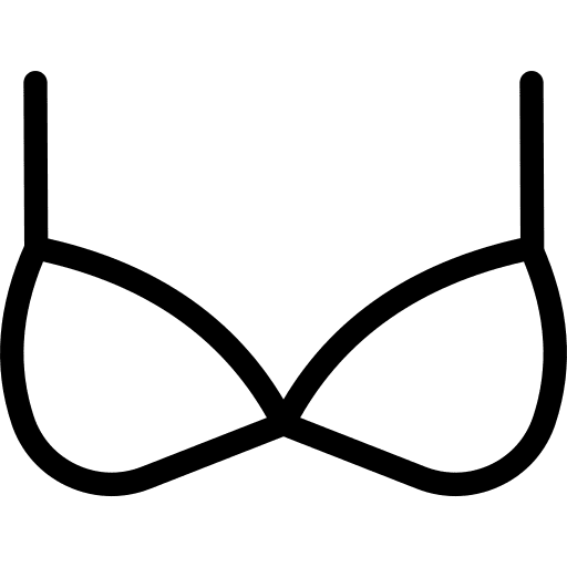 Bra fashion brassiere female icon