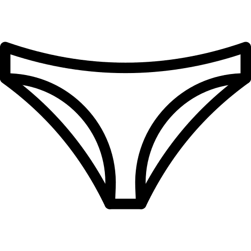 Underwear knickers clothing femenine icon