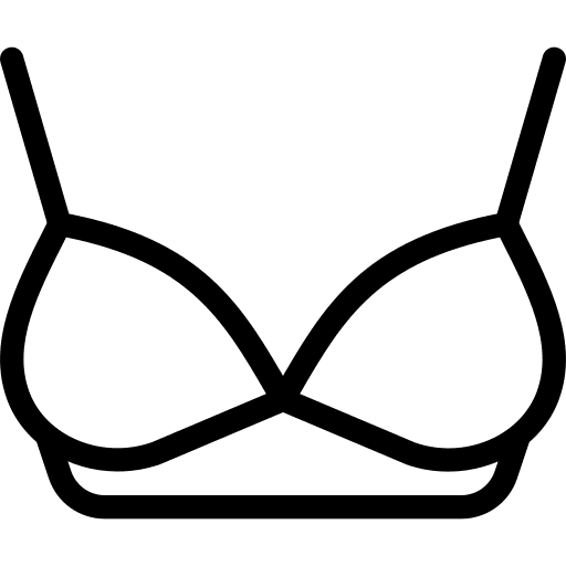Bra brassiere underclothes clothing icon