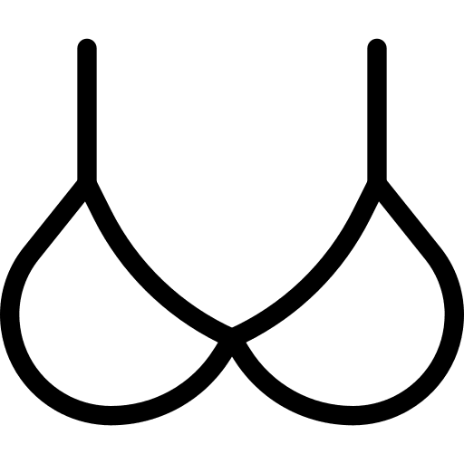 Bra clothing underwear brassiere icon