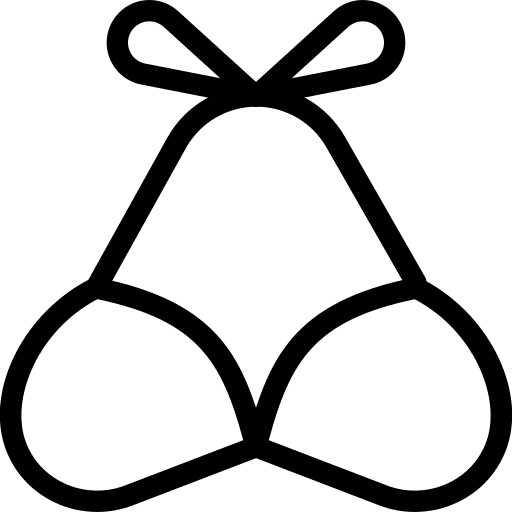 Bra fashion bikini underwear icon