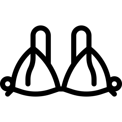 Bra underwear clothing brassiere icon