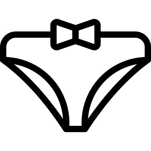 Feminine lingerie knickers clothing icon