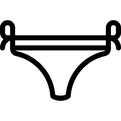 Underpants panties femenine knickers icon