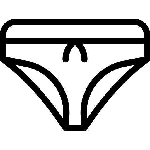 Knickers fashion clothing lingerie icon