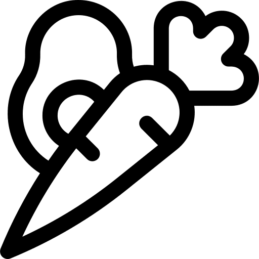 Vegetables carrot vegan vegetables icon