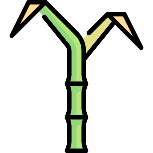 Reed plant nature farming and gardening icon