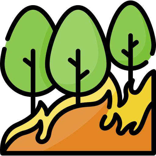 Wildfire flame forest fire pollution icon