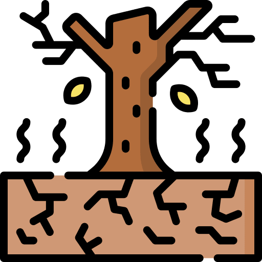 Drought natural disaster weather desert icon