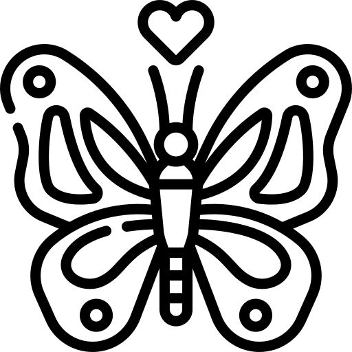 Butterfly love butterfly pretty icon