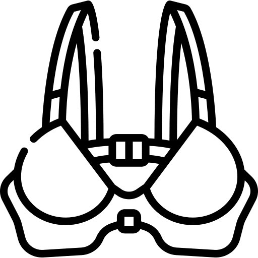 Bra fashion brassiere garment icon
