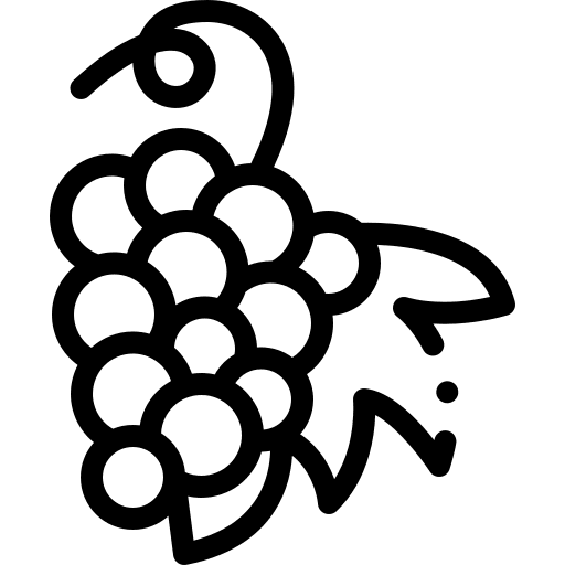 Grapes food and restaurant healthy food bouquet icon