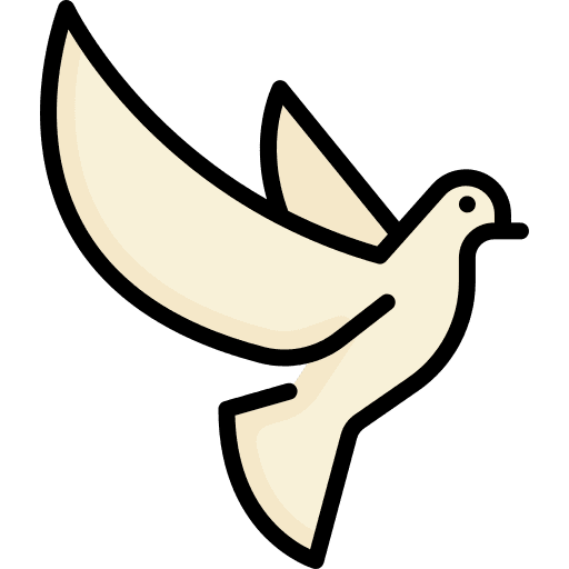Dove pigeon wings bird icon