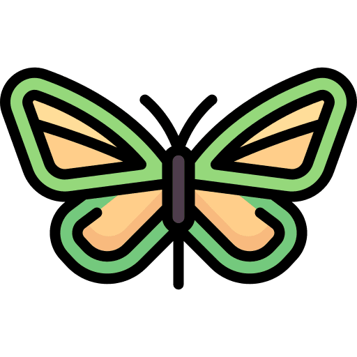 Butterfly butterfly bug animals icon
