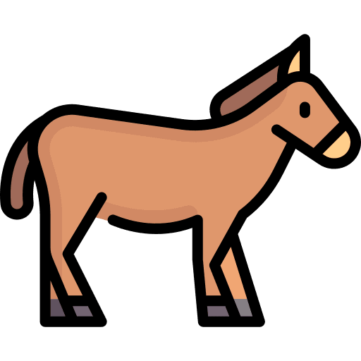 Donkey zoo animals zoology icon