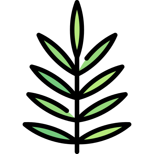 Leaf nature leaves olive icon
