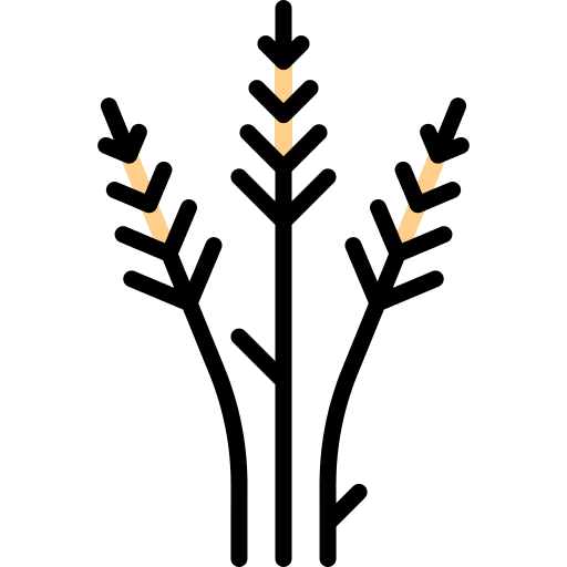 Wheat barley cereal food icon