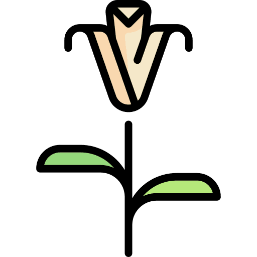 Flower flower petals botanical icon