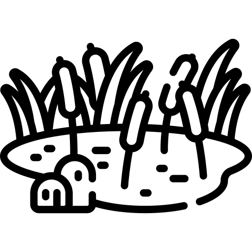 Pond forest water lily pond icon