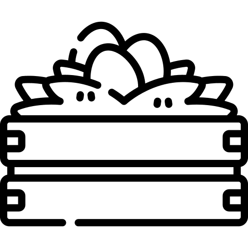 Eggs chicken farm food icon